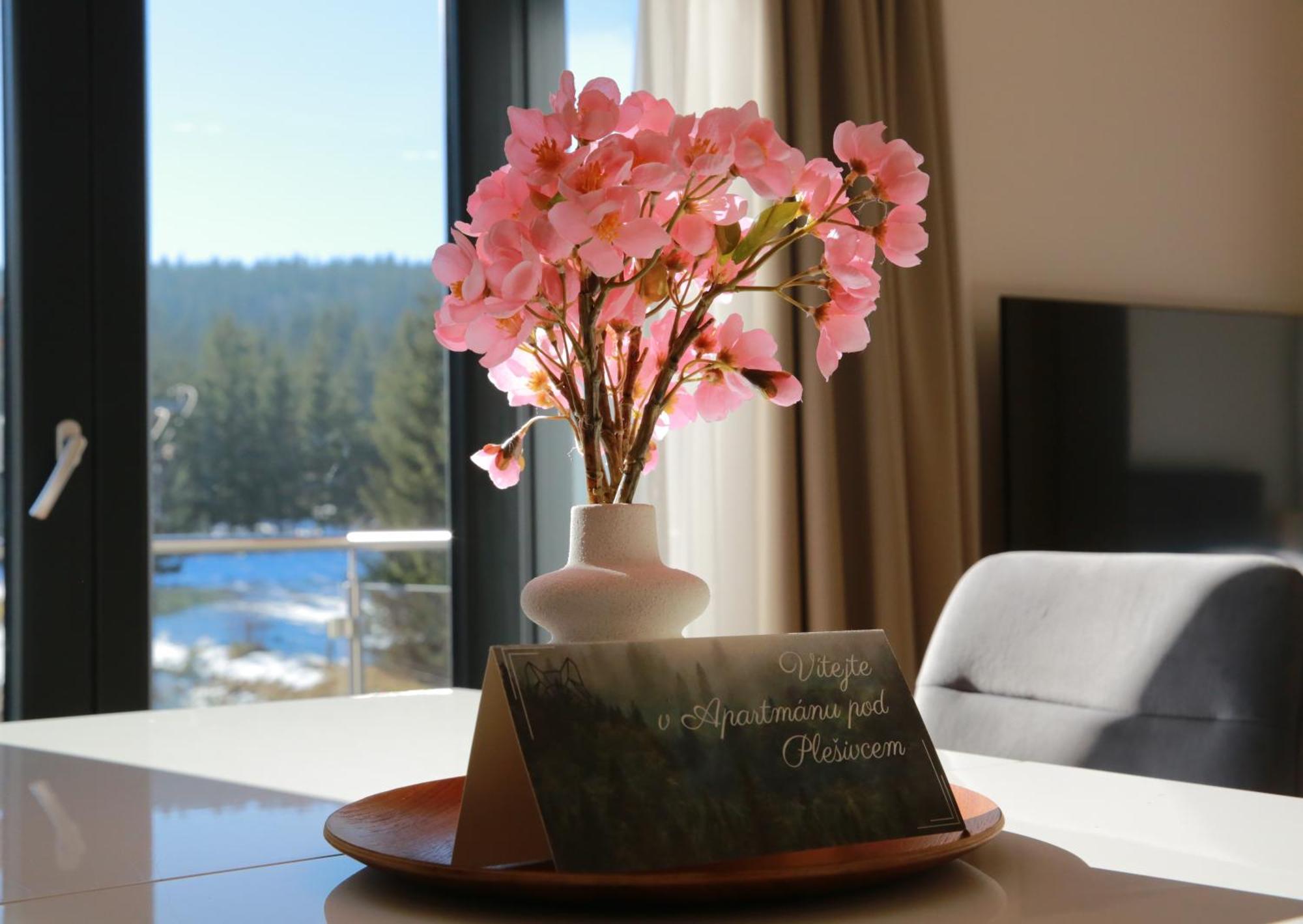 Apartman Pod Plesivcem Abertamy Dış mekan fotoğraf